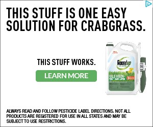 Creative Screenshot 1