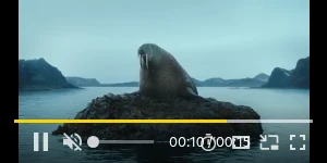 Creative Screenshot 3