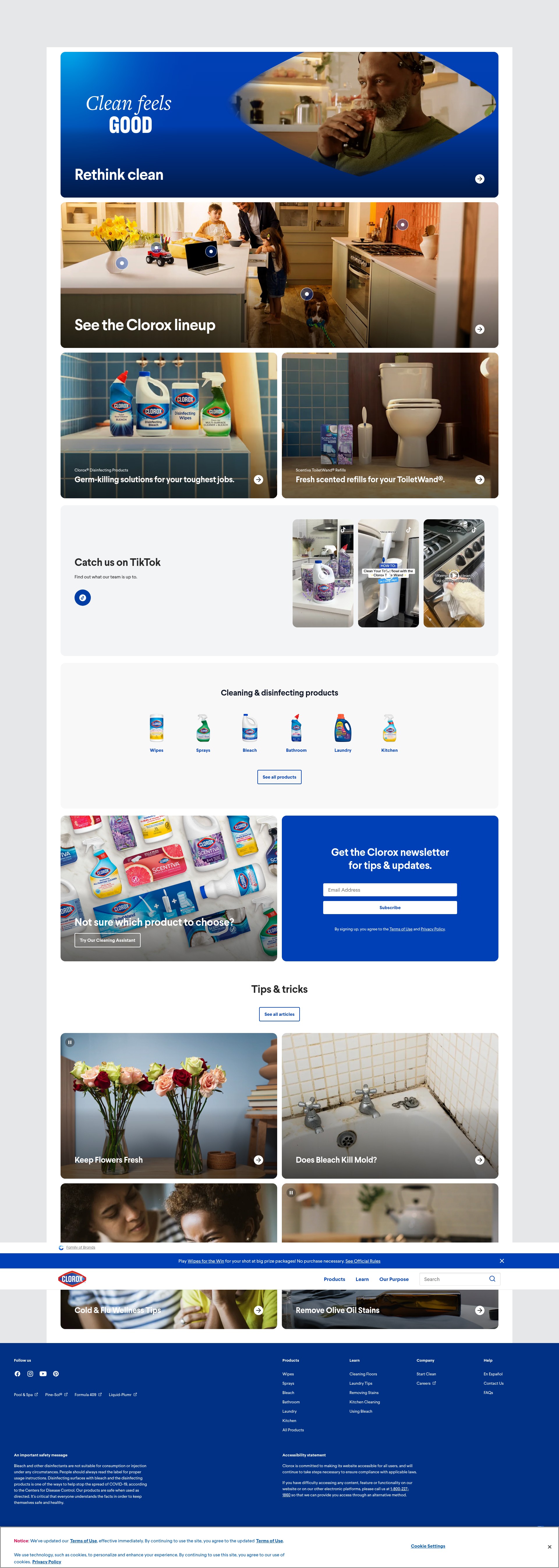 Screenshot of clorox.com